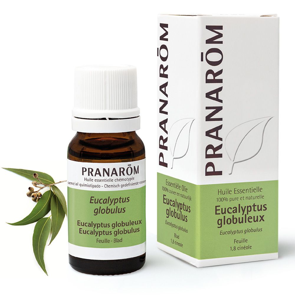 PRANAROM Eukalyptus