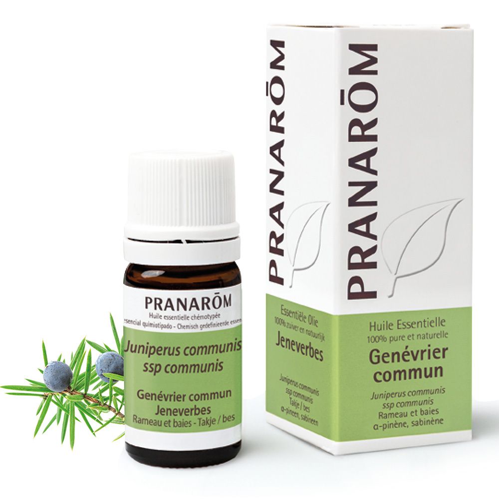PRANAROM Ätherisches Öl Wacholder