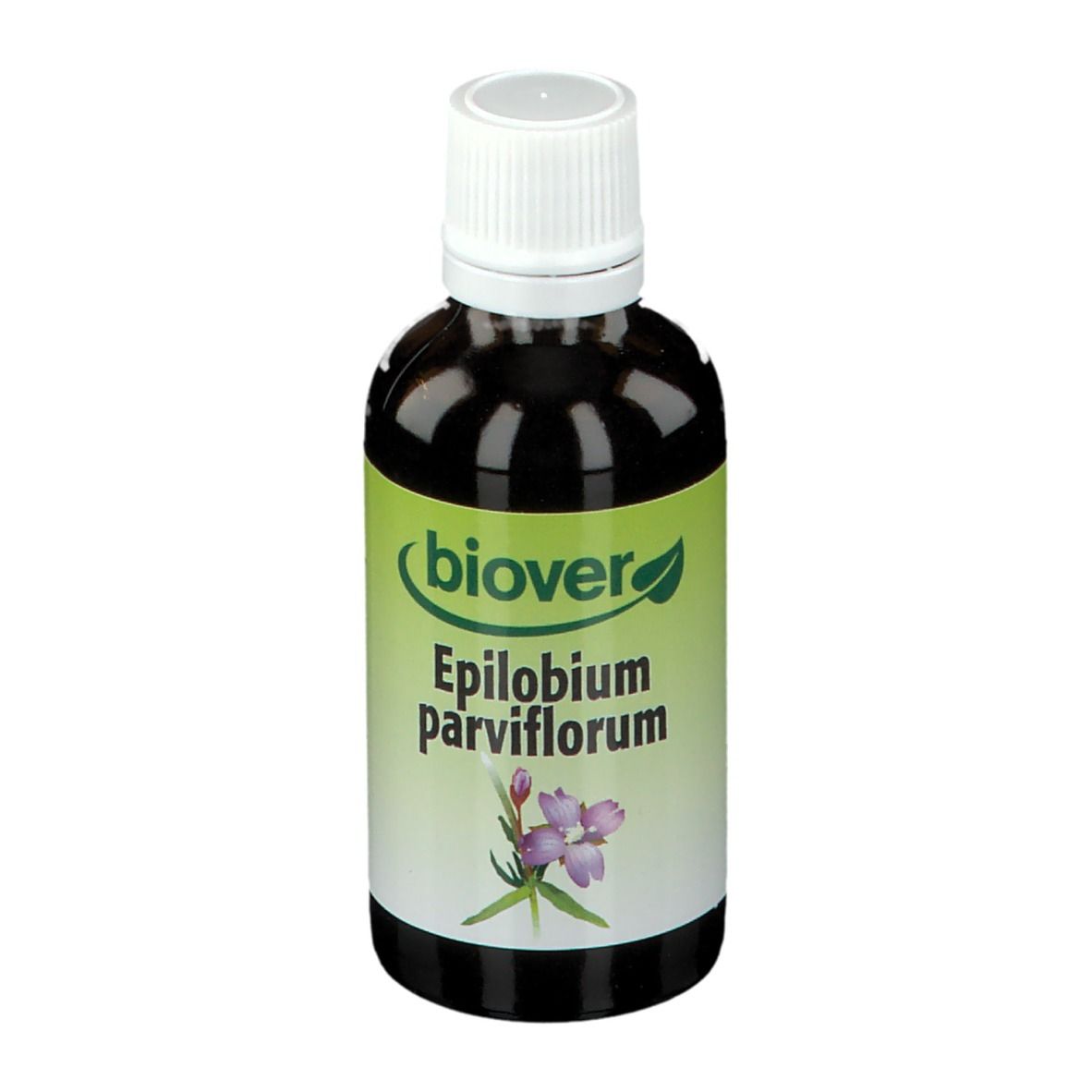 Image of Biover Epilobium Parviflorum Weidenröschen