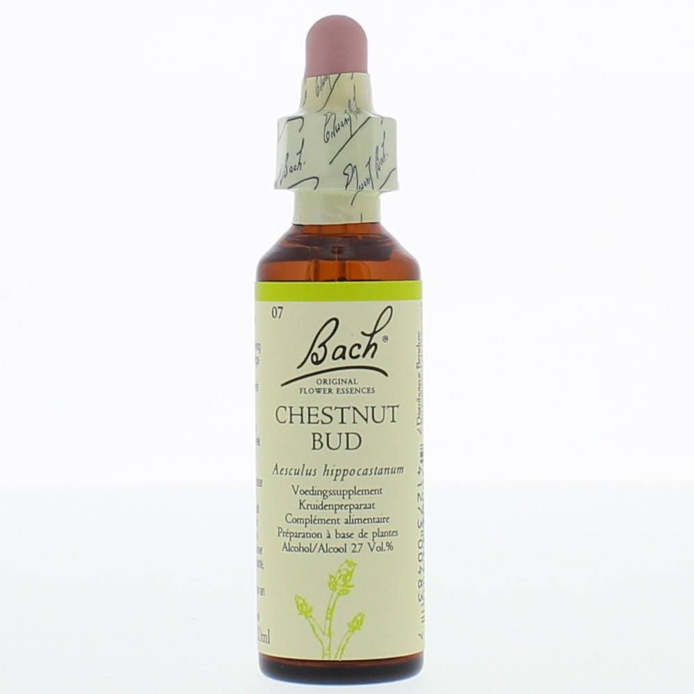 BACH®-BLÜTE CHESTNUT BUD (Kastanienknospe)