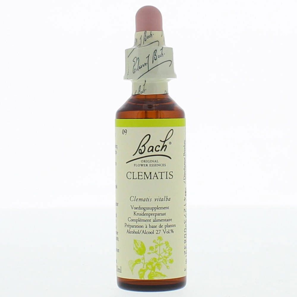 BACH®-BLÜTE CLEMATIS (Weiße Waldrebe)