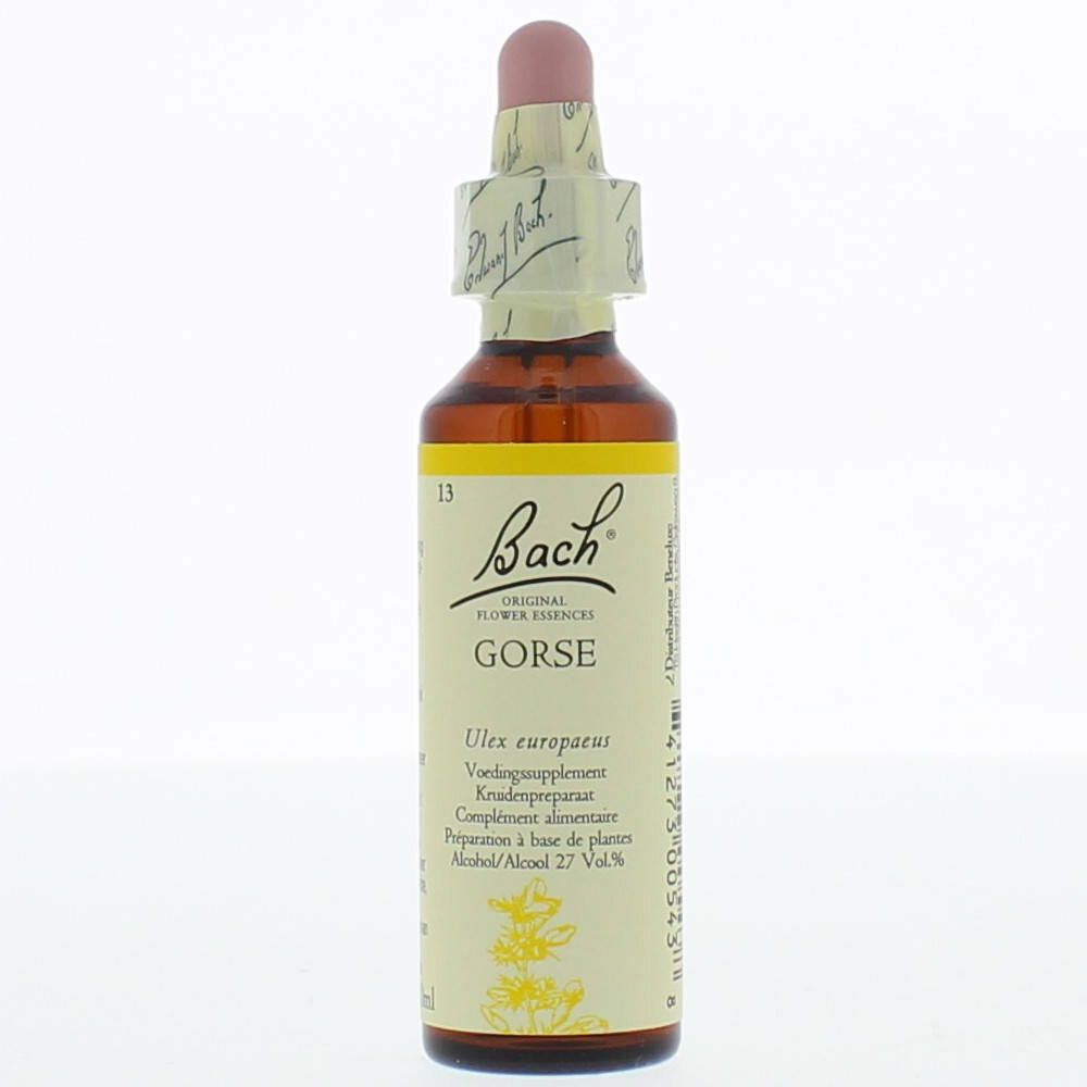 BACH®-BLÜTE GORSE (Stechginster)