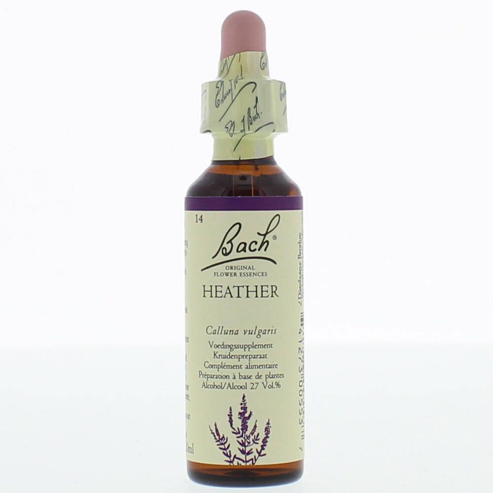 BACH®-BLÜTE HEATHER (Schottisches Heidekraut)
