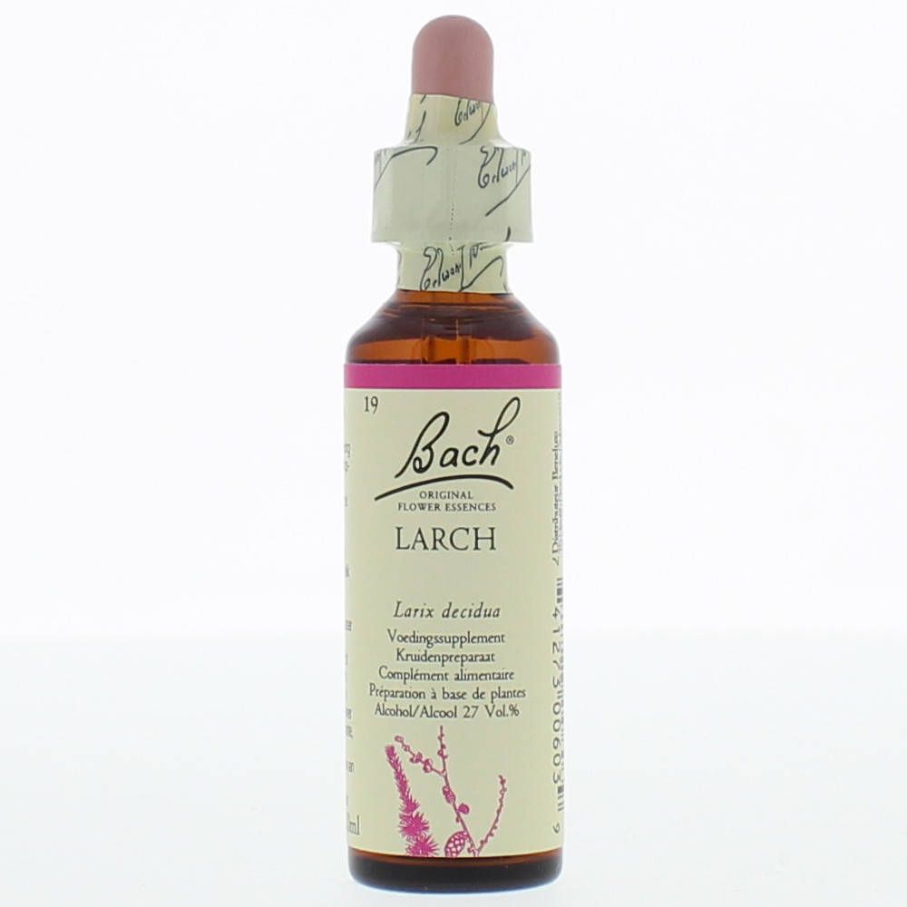 BACH®-BLÜTE LARCH (Lärche)