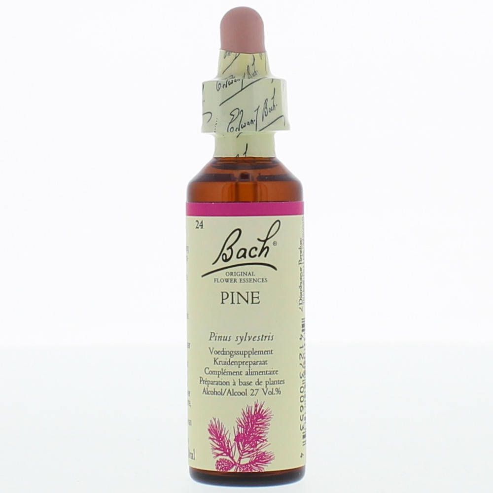 BACH®-BLÜTE PINE (Schottische Kiefer)