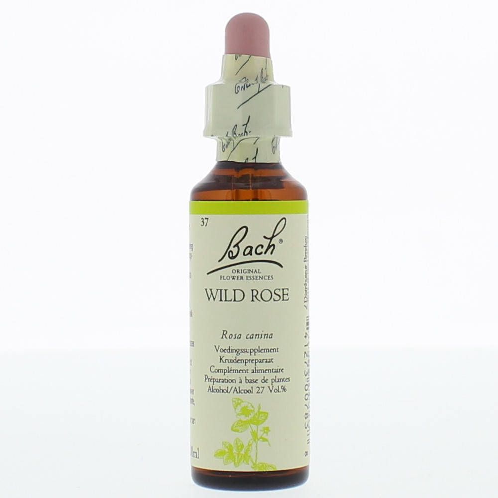 BACH®-BLÜTE WILD ROSE (Heckenrose)