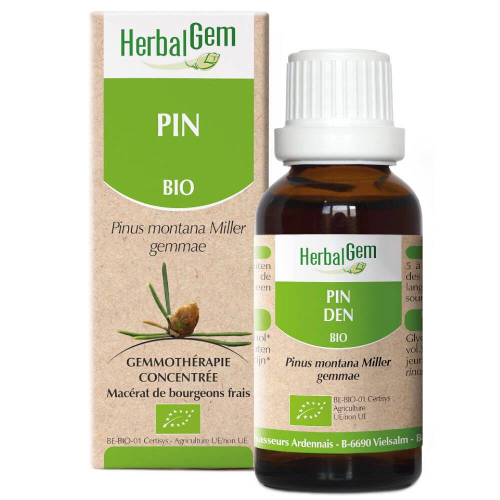 HerbalGem Kiefer Bio