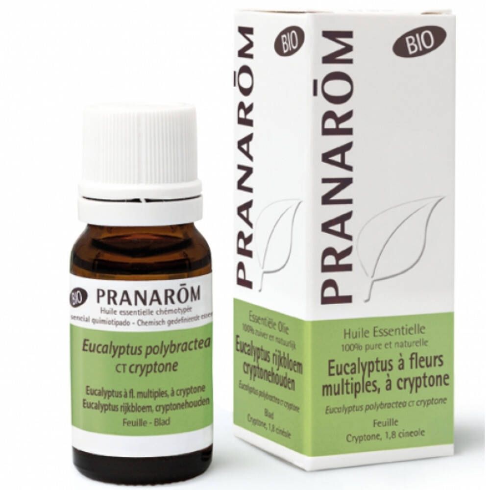 PRANAROM Ätherisches Öl Eukalyptus Krypton Bio