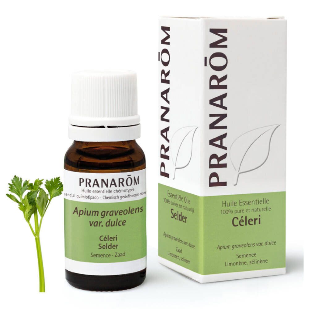 PRANAROM science Sellerie
