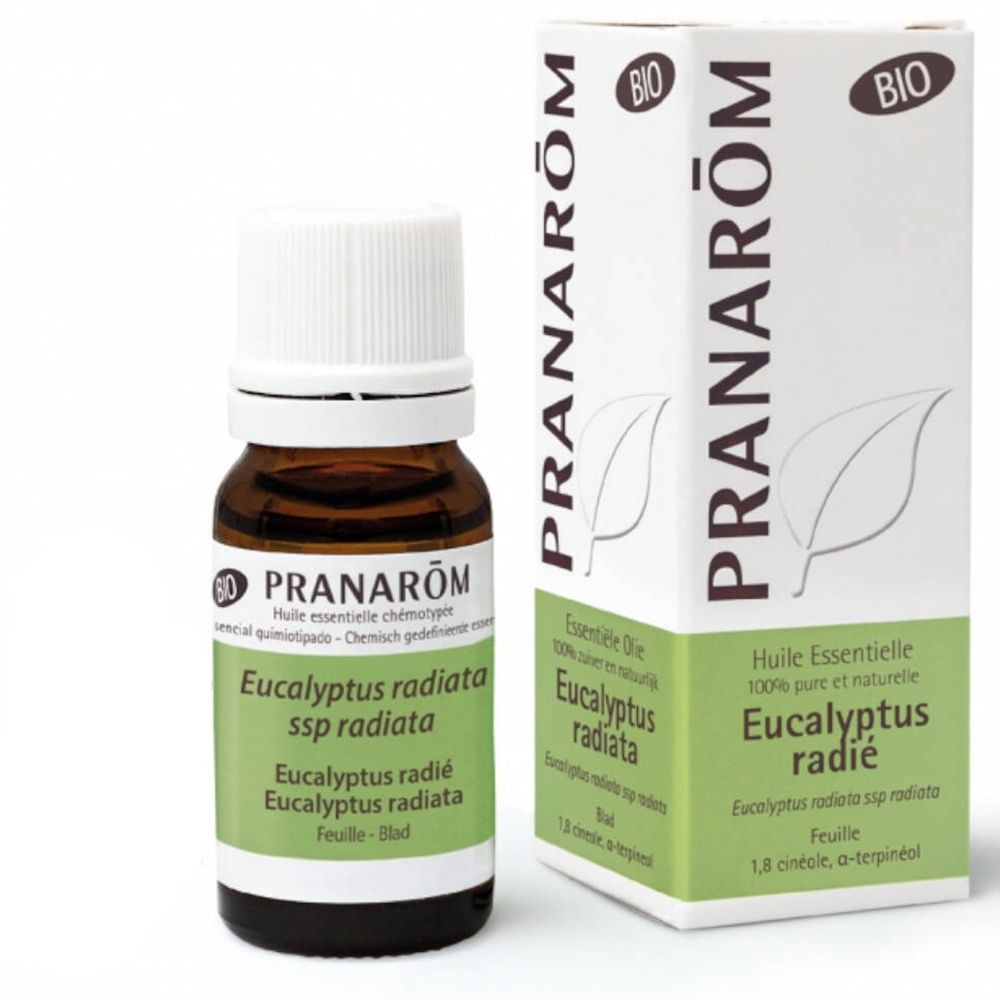 Pranarôm Eucalyptus Radiata Ätherisches Öl Bio