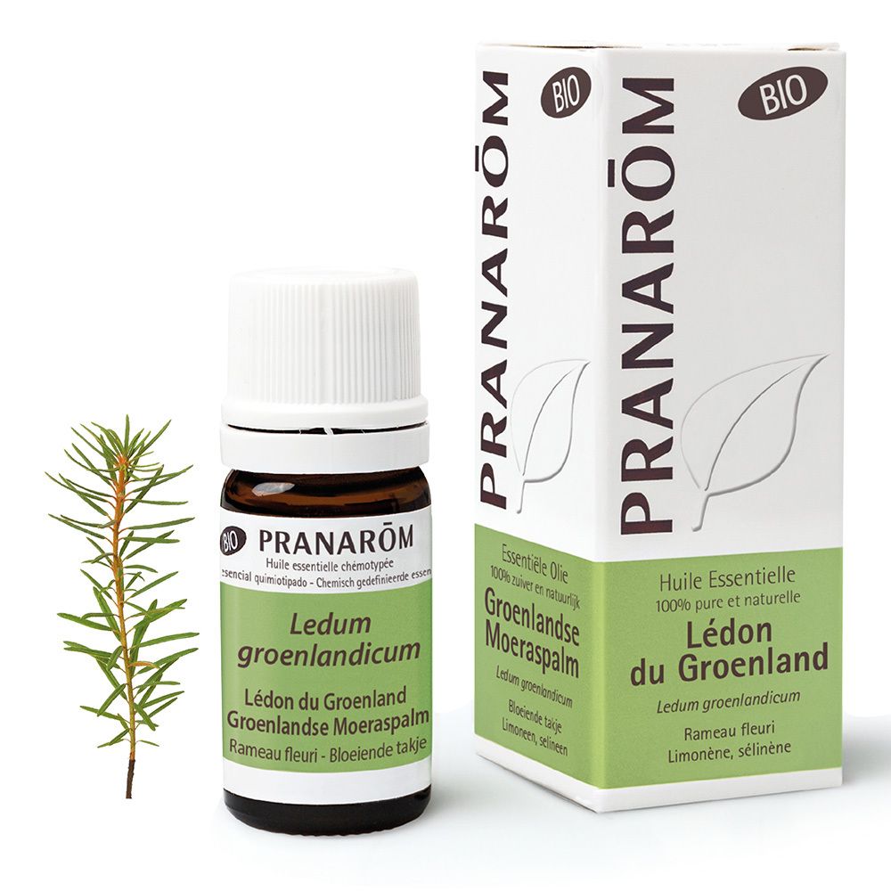 PRANAROM Ledon du Groenland - shop-apotheke.ch