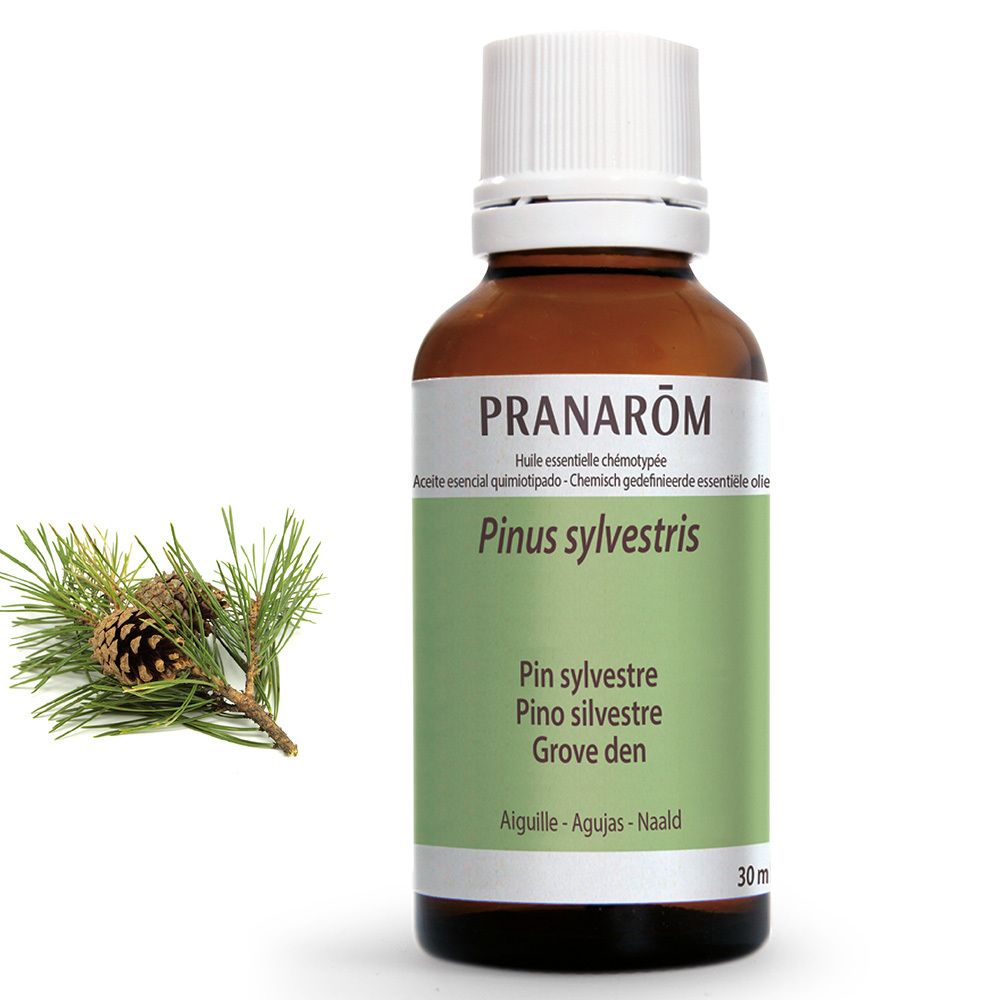 Pranarôm Ätherisches Öl Waldkiefer