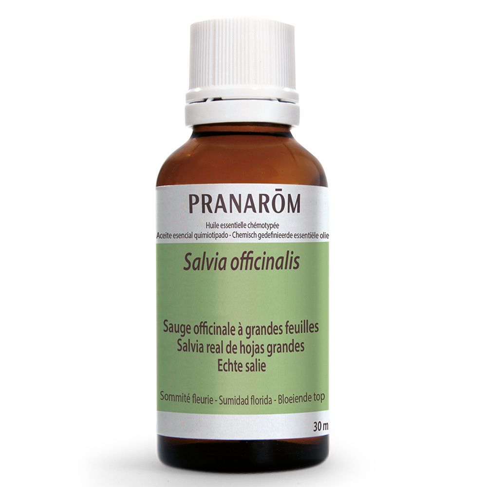 PRANAROM Echter Salebei