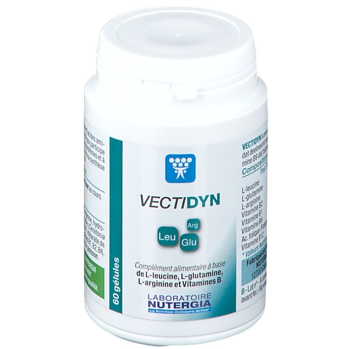 VectiDyn