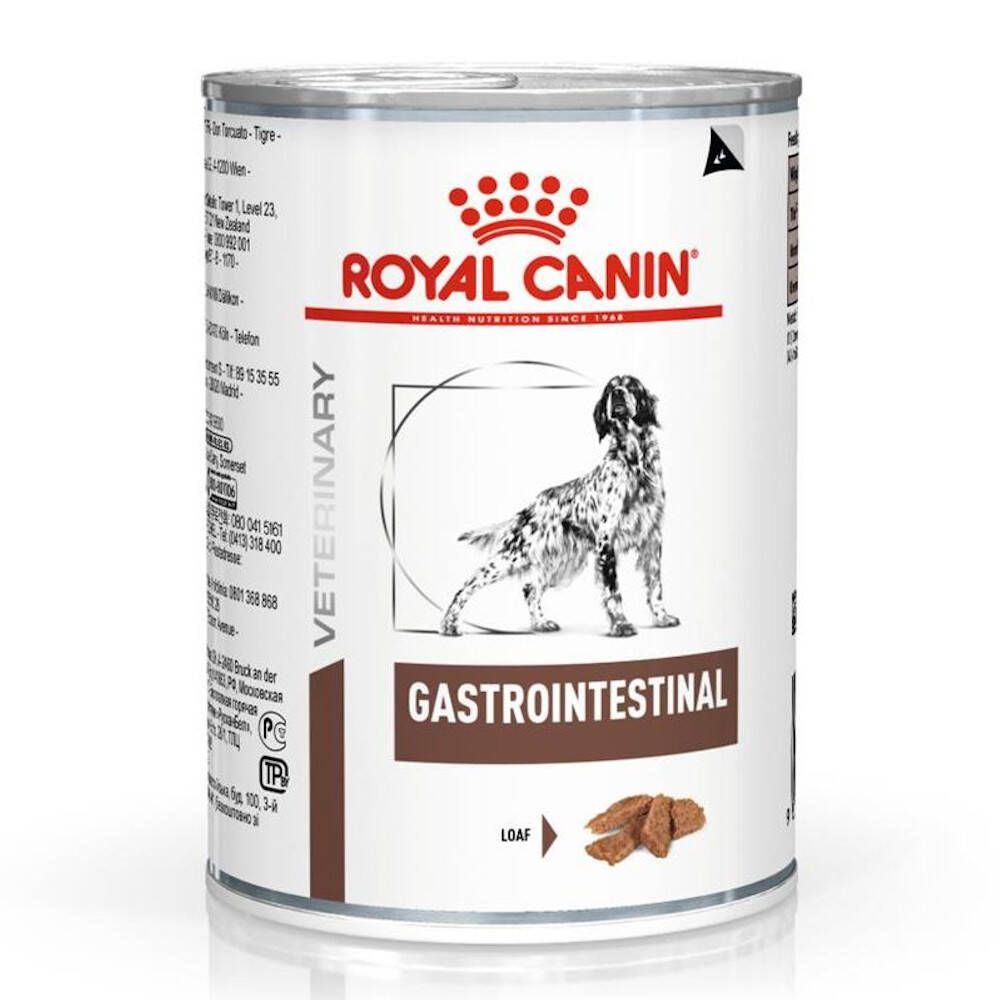 Royal Canin Gastro Intestinal Chien