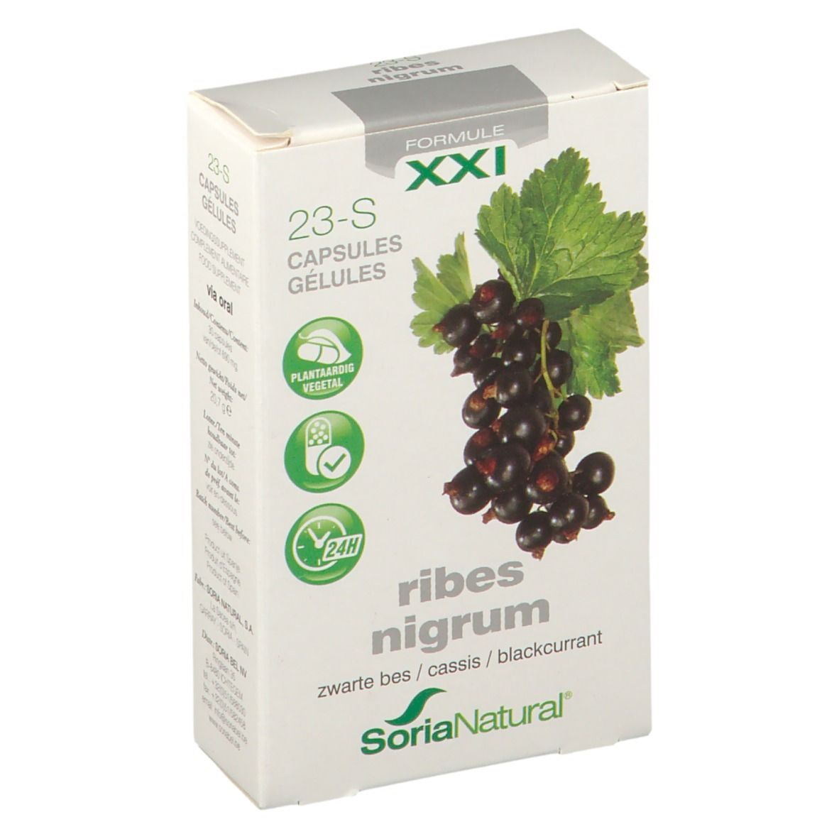 Soria Natural® 23-S Ribes Nigrum XXXI