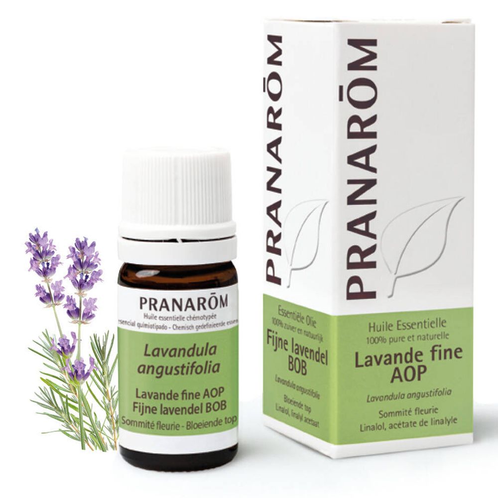 PRANAROM Ätherisches Öl Feiner Lavendel