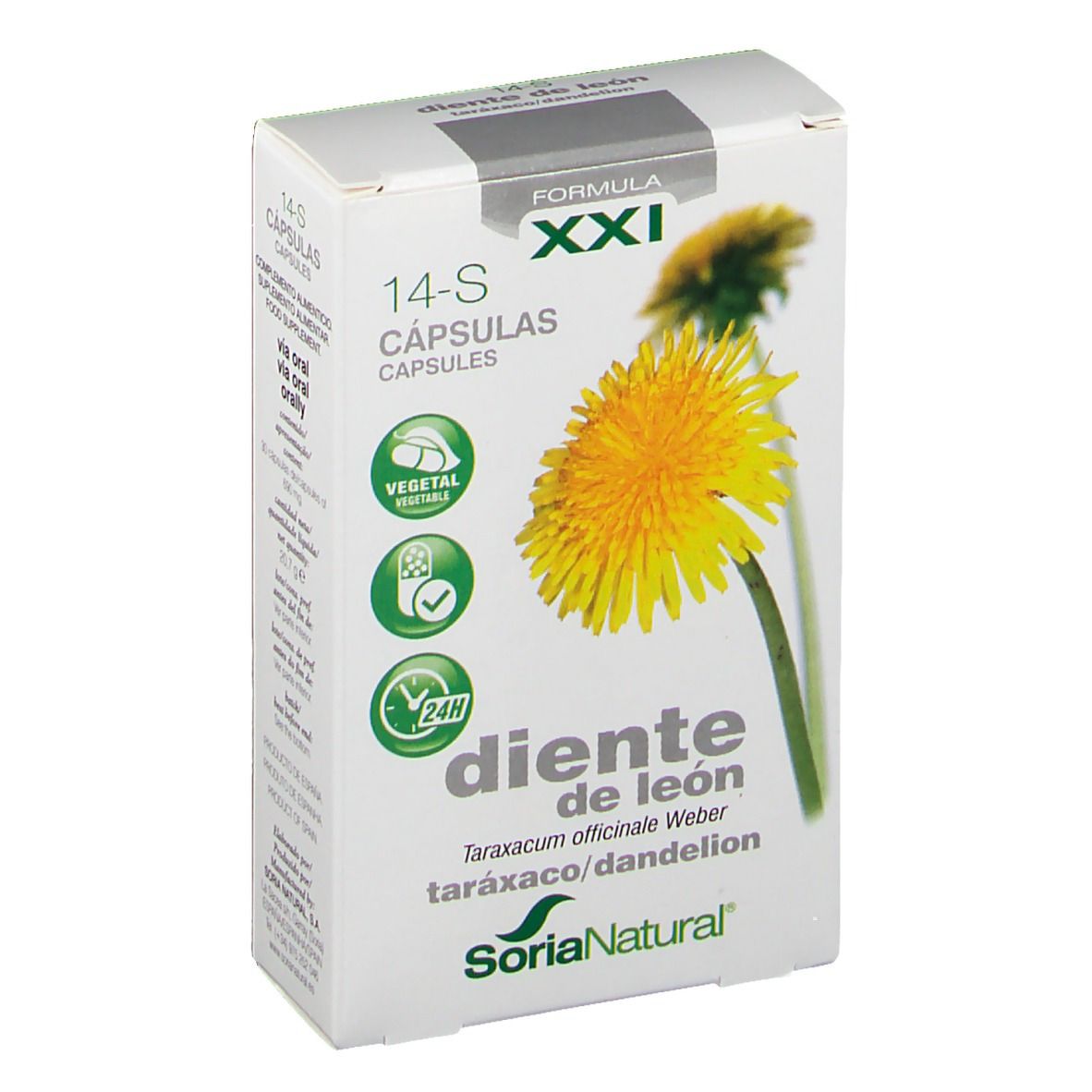 SoriaBel 14-S Taraxacum XXL