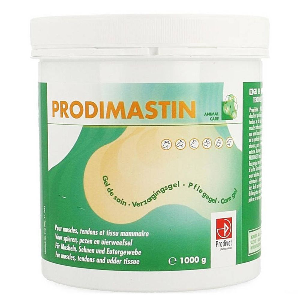 PRODIMASTIN Pflegegel