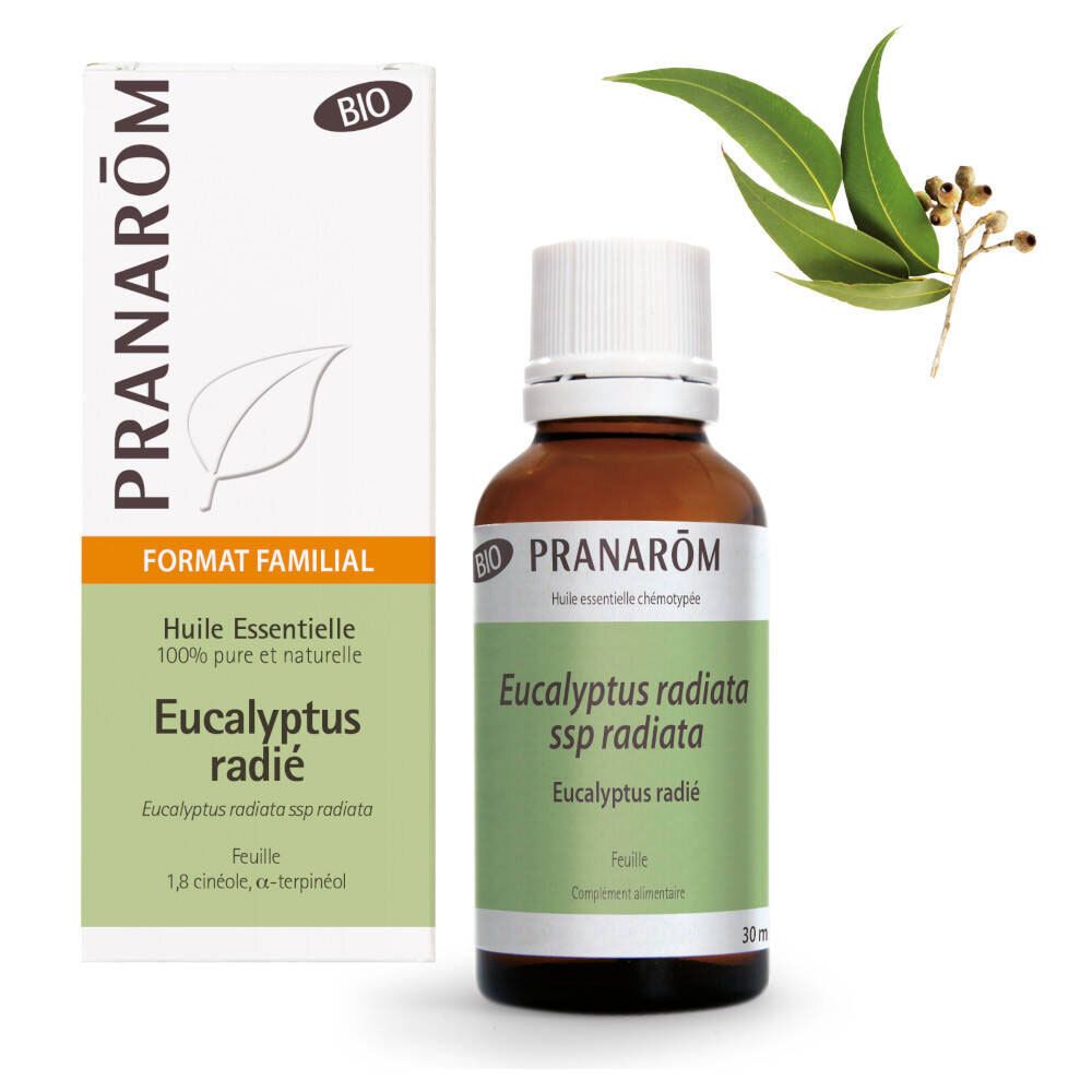 Pranarom Ätherisches Öl  Eukalyptus radiata