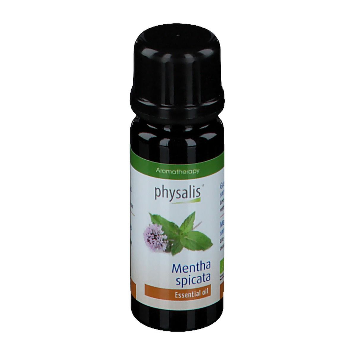 physalis® GRÜNE MINZE