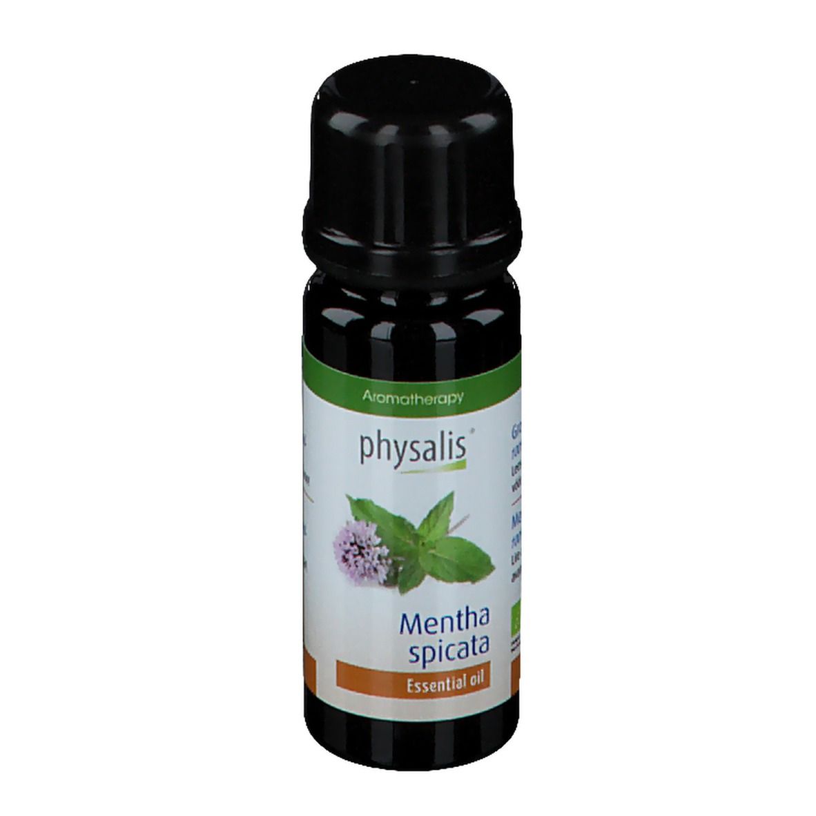 Image of physalis® GRÜNE MINZE