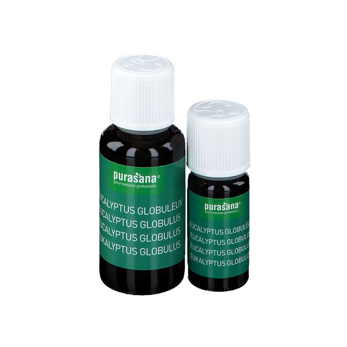 Purasana® Ätherisches Öl Eukalyptus Globulus