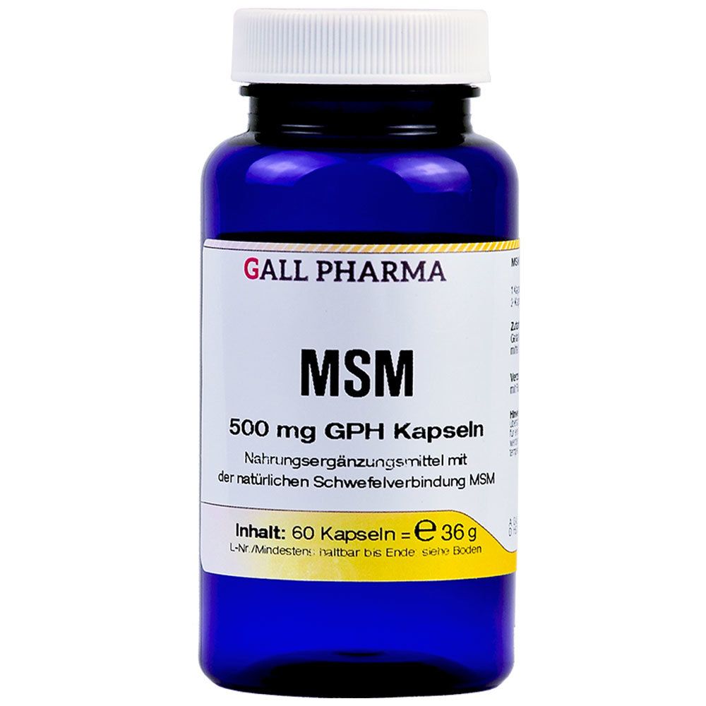 Image of GALL PHARMA MSM 500 mg GPH Kapseln