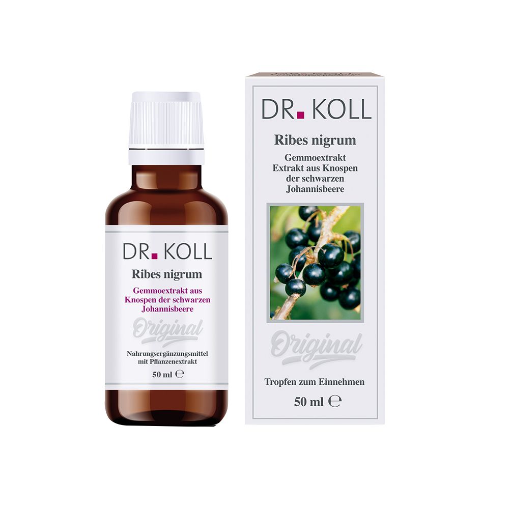 DR. KOLL Ribes Nigrum Gemmoextrakt