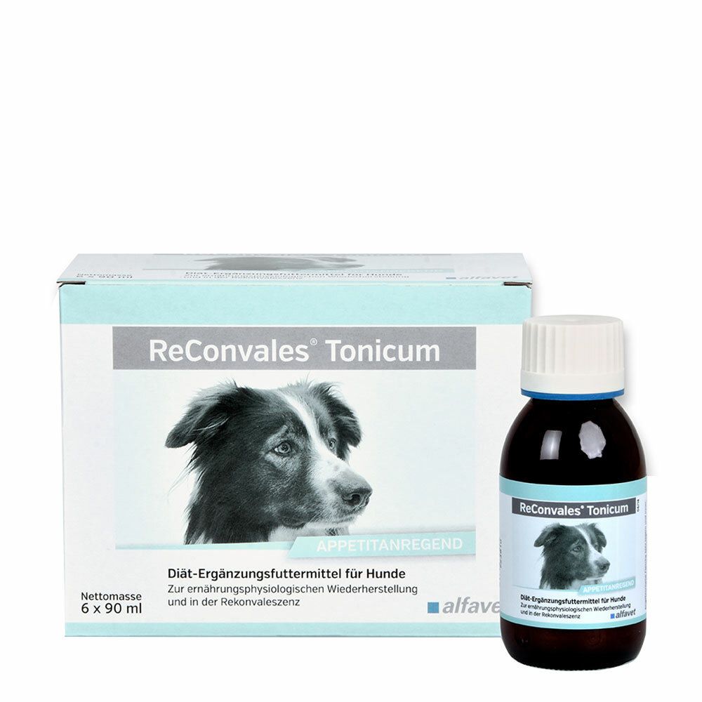Image of ReConvales® Tonicum für Hunde