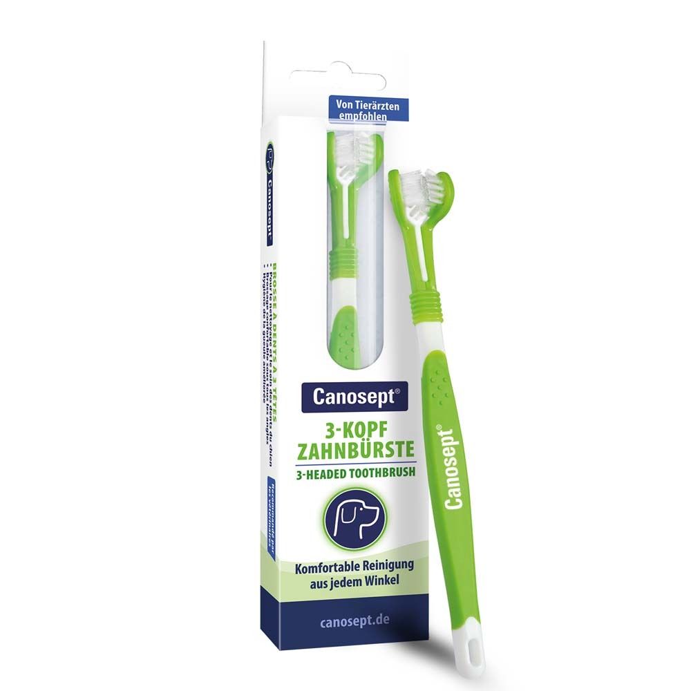 Canosept® 3-Kopf Zahnbürste für Hunde