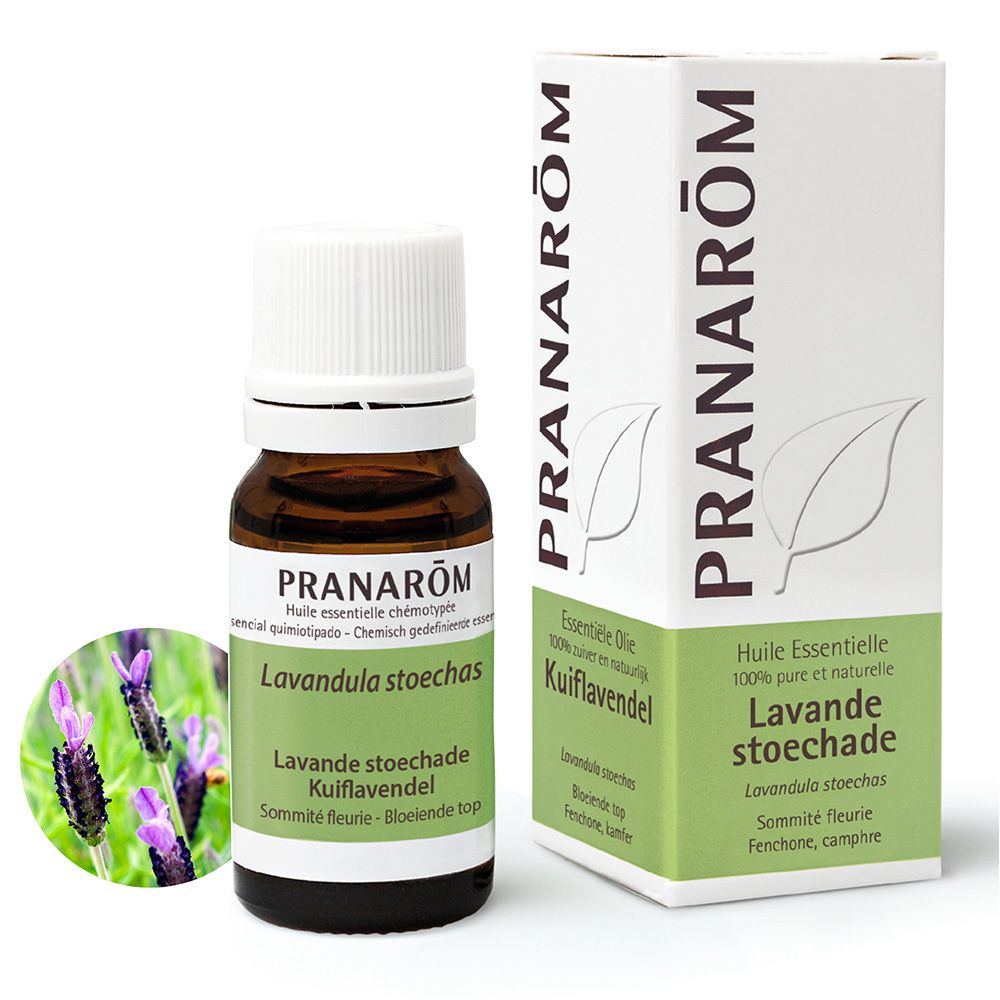 Pranarôm Ätherisches Öl Lavendel Stoechade