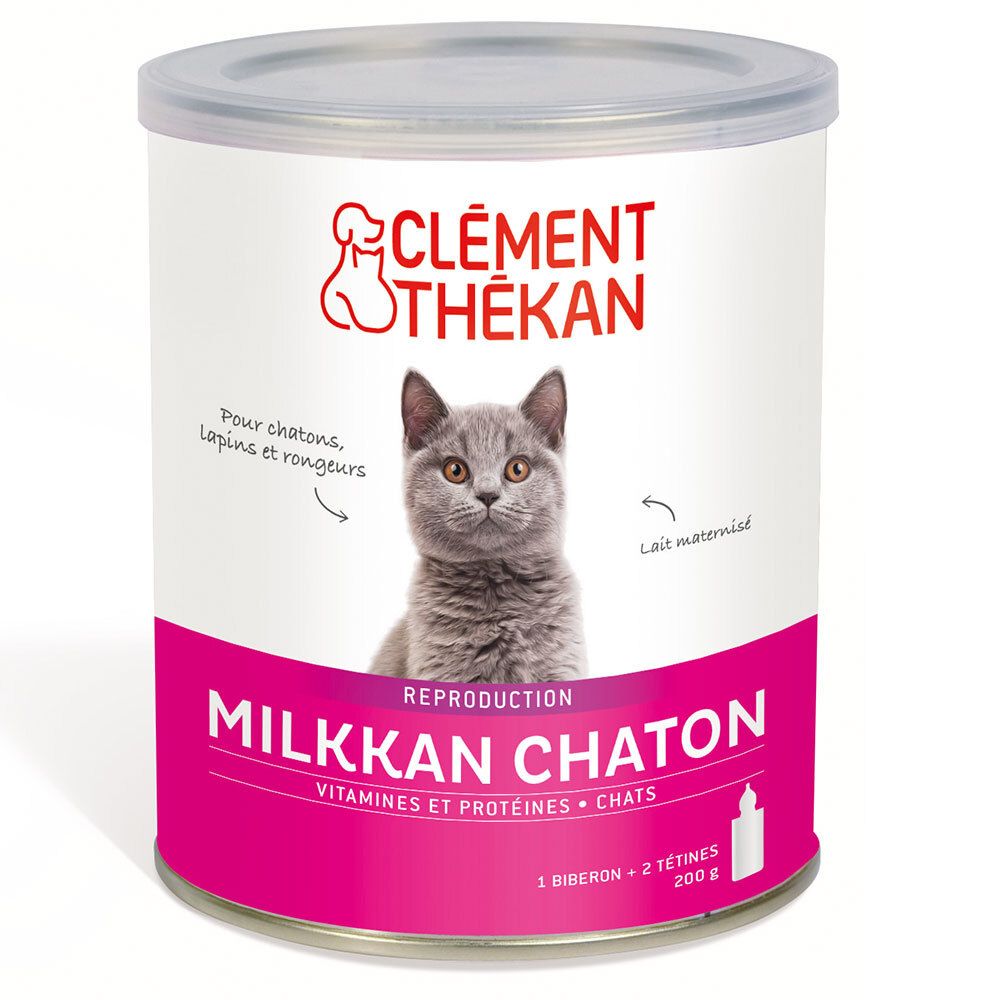 Clément Thékan Milkkan Kitten