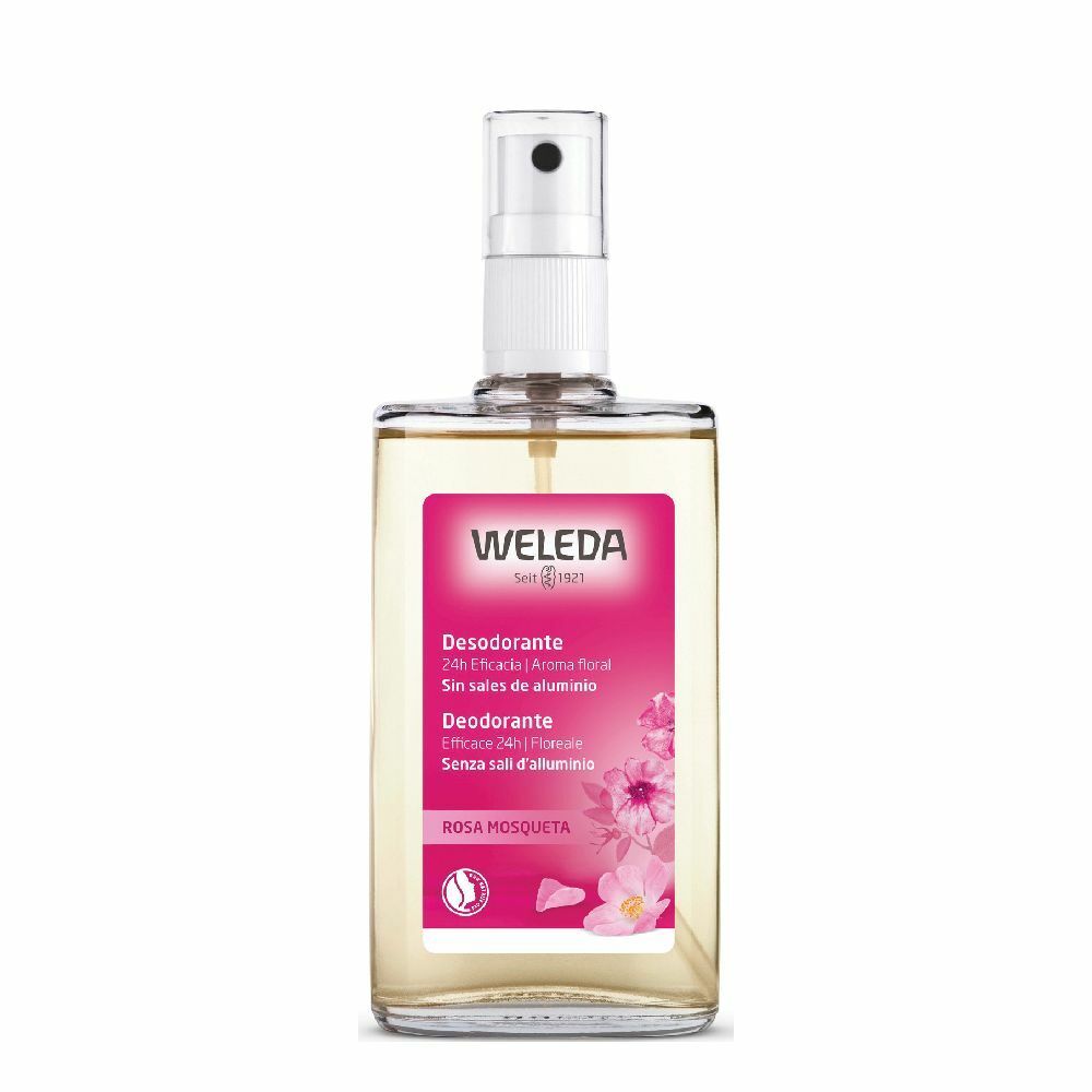 Image of Weleda Wildrosen Deodorant
