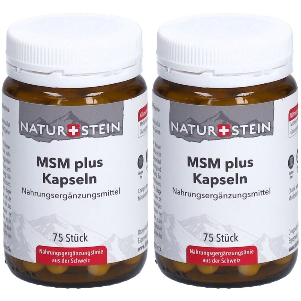 Naturstein MSM plus