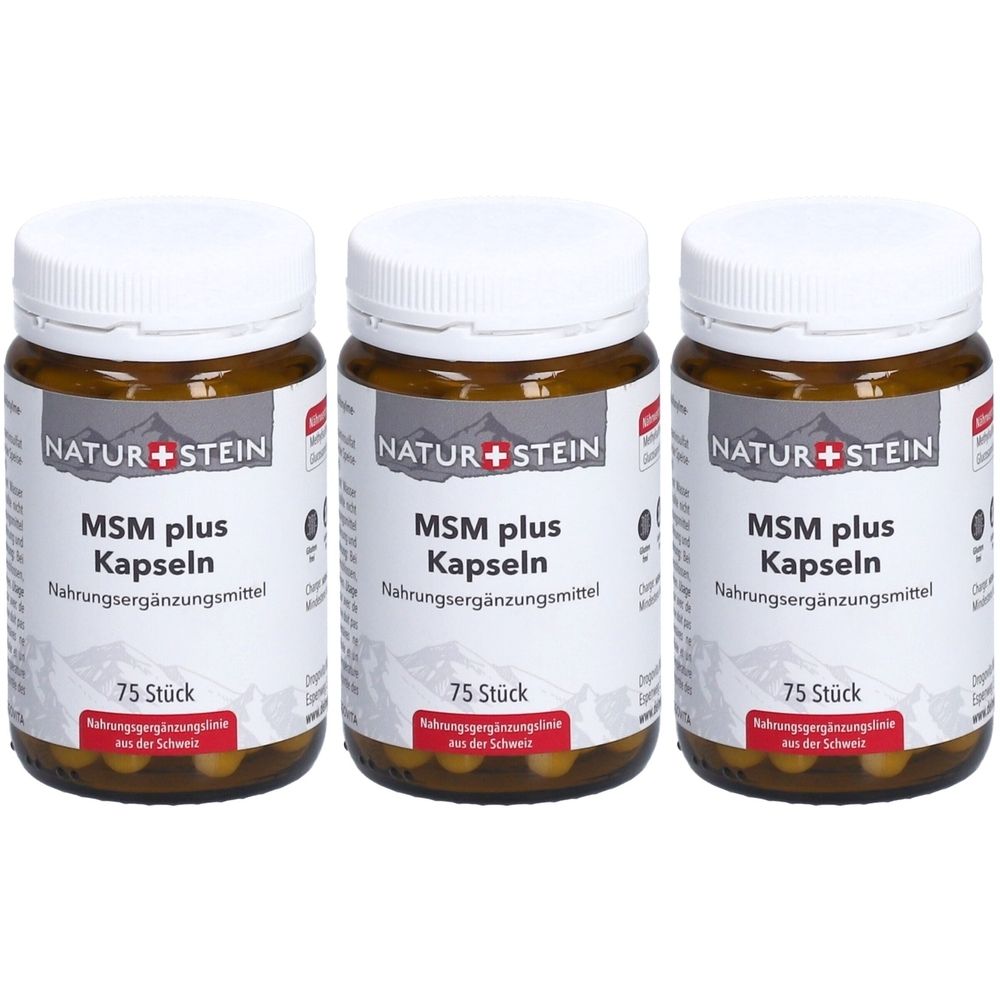 Naturstein MSM plus
