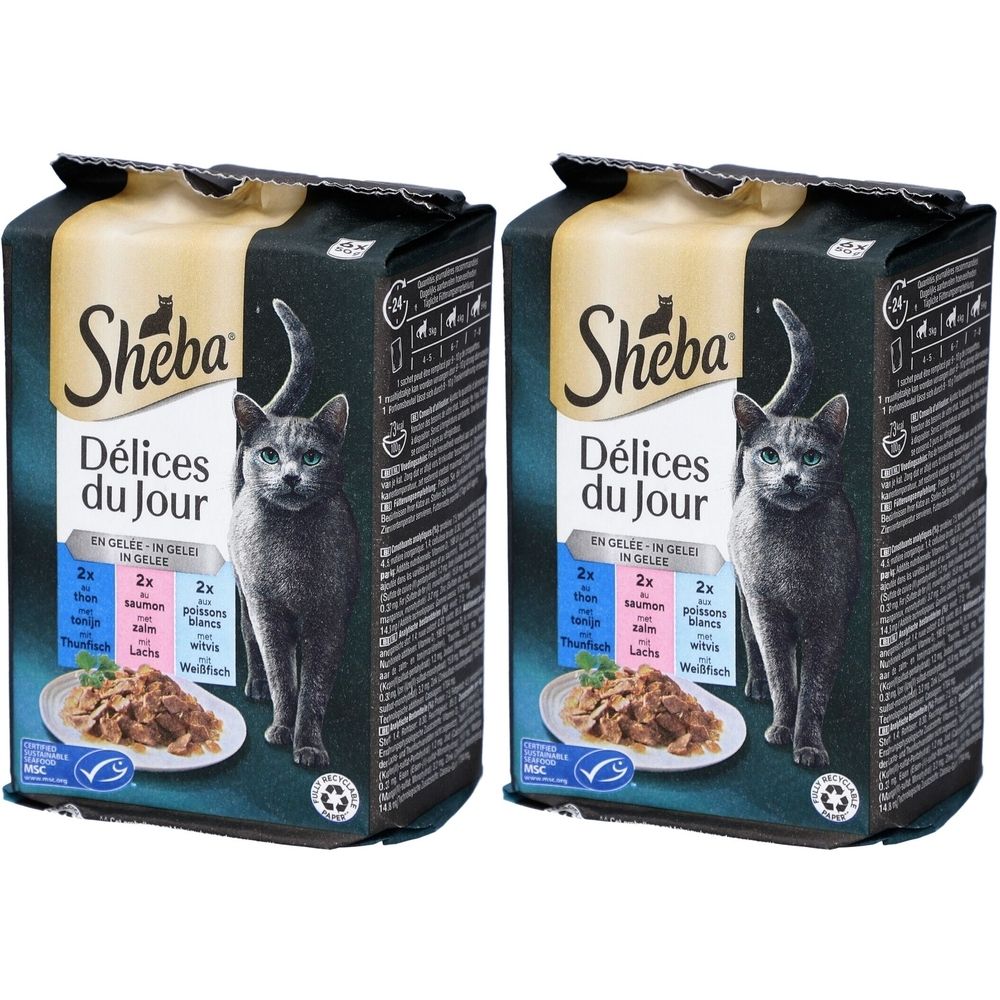 Sheba Délices du Jour - Gelee-Auswahl für erwachsene Katzen