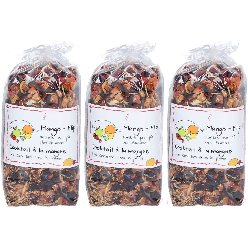 Herboristeria Früchtetee Mango Flip